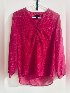 EUC Women’s GAP Sheer Button Down Blouse ~ Small